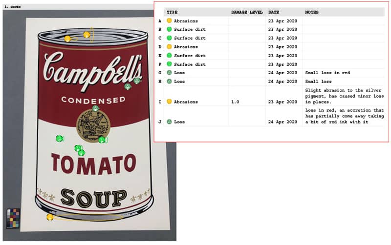 fine art condition report detail of information included